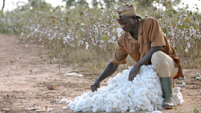 Transformation du coton graine : La Chine s’engage aux côtés du Mali