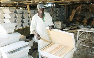 Des initiatives en cours pour une production de miel à grande échelle